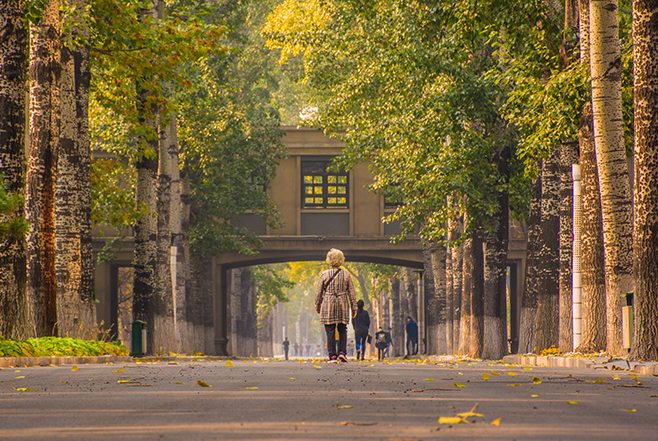 C9FFE7DF8A851E6BF557F9DAAE1_1B77CBDD_79050